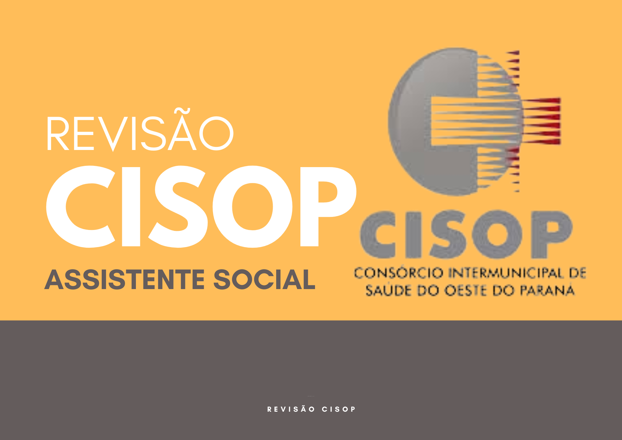 REVISÃO CISOP (1)